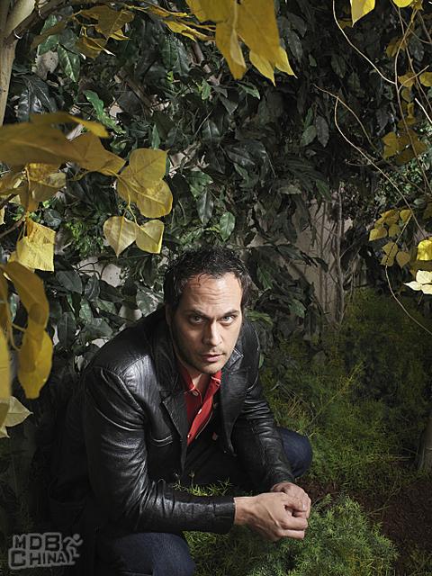 富贵浮云第1季89863