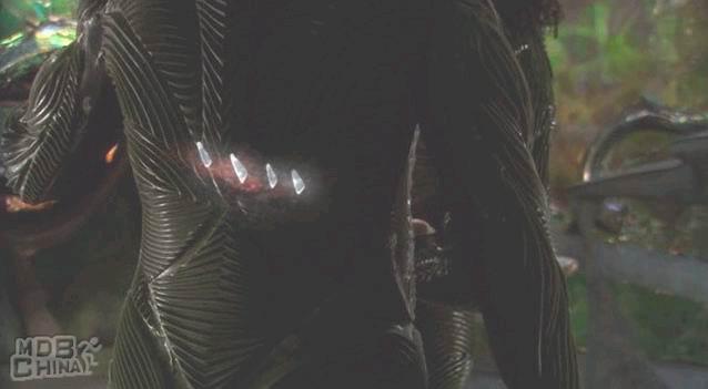 泰星来客第5季60833