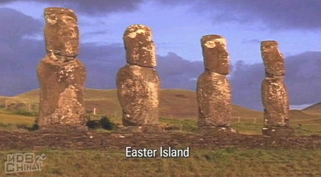 泰星来客第5季60844