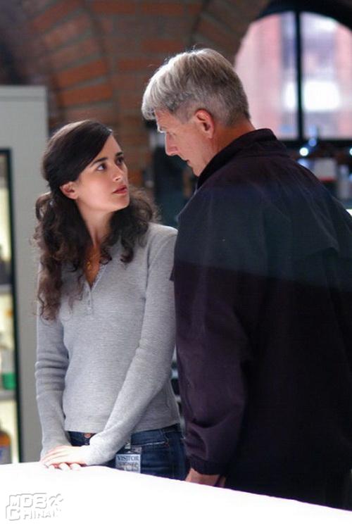 海军罪案调查处第3季52325