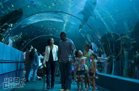 爸爸的女儿87098