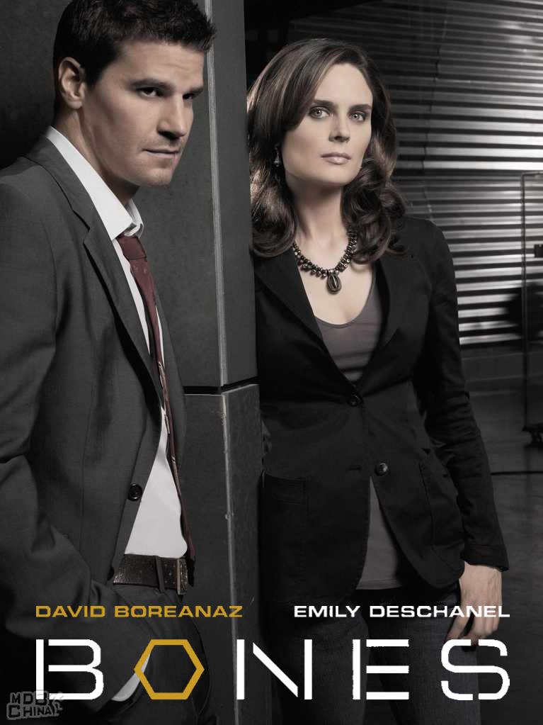 识骨寻踪第2季80497