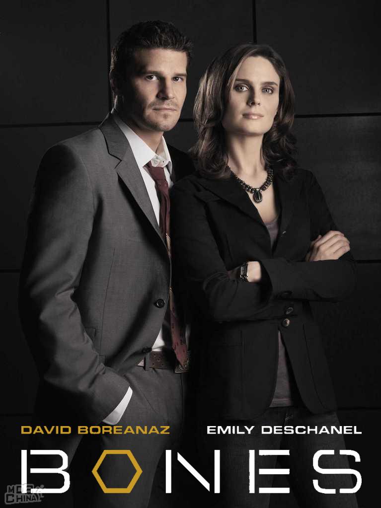 识骨寻踪第2季80498