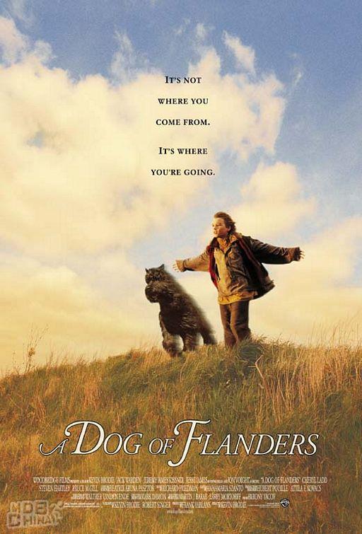 佛兰得斯的狗93619