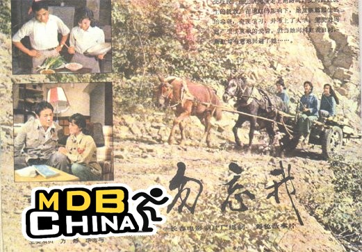 勿忘我8732