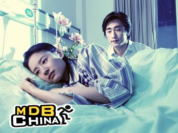 天若有情2973