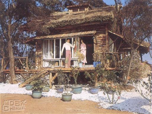 白屋之恋33529