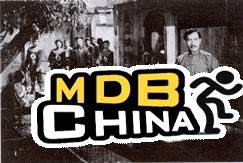 碧血黄花20398